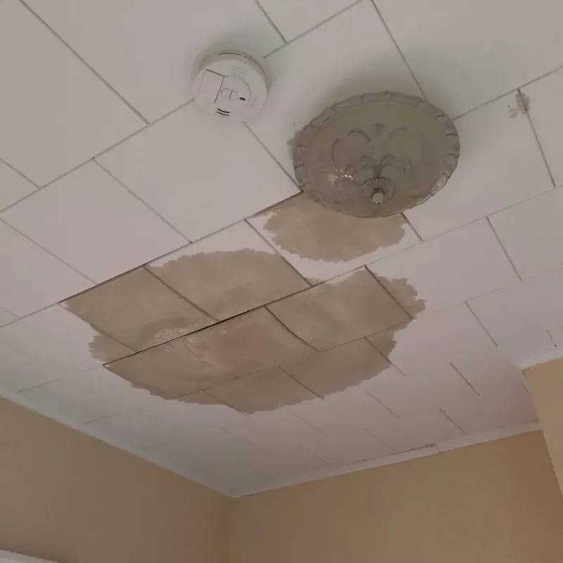 Ceiling Water Damage Repair in Uptown, IL