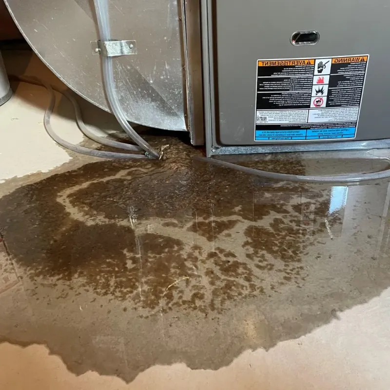 Pipe Burst and Leak Restoration in Uptown, IL