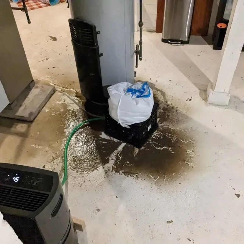 Sewage Backup Cleanup Service in Uptown, IL